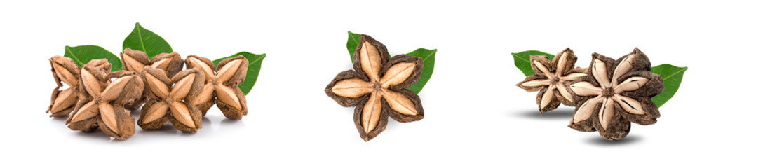 Sacha inchi peanut seed isolate on white background