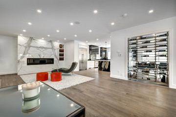 New big luxury modern house in Montreal's suburb partially furnished with backyard, empty rooms,...