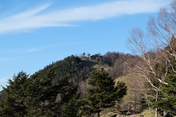 秋山の紅葉。百名山 雲取山山頂の避難小屋。the hut of mt Kumotori. Orange color leaves, autumn time Japan 