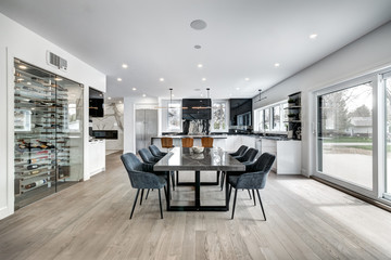 New big luxury modern house in Montreal's suburb partially furnished with backyard, empty rooms,...