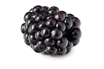 blackberries isolated on white background. healthy background. macro