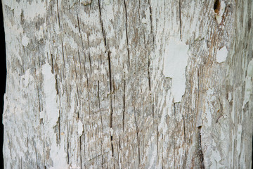 wooden board prepared by the carpenter to build the furniture in the carpentry workshop