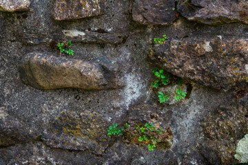 stones in the stone wall of the house in the stone fortress