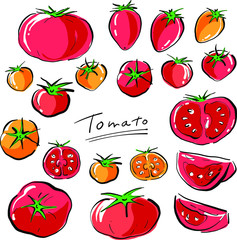 Tomato and cherry tomato illustration material