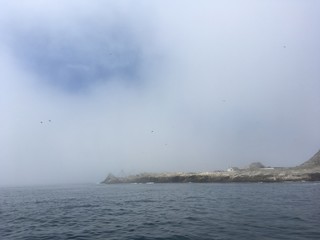 Farallon Islands