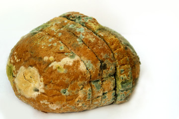 Bread covered with mold, a pile of spoiled wheat bread. Close-up photo of a pattern of multicolored mold.