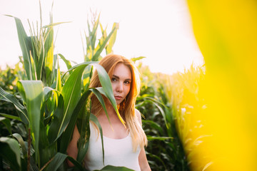 Fototapeta premium red-haired girl smiles in a cornfield