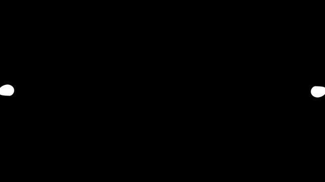hOtX207P