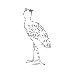 ハシビロコウ　Shoebill　メリークリスマス　動物　