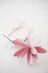 gift box and pink flower