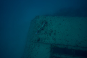 Wreck Freediving