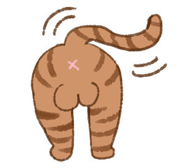 猫のおしり　キジ猫