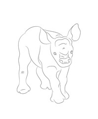 baby rhino vector illustration, line drawing, vector
