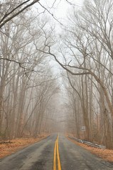 The foggy road into the autumn forest