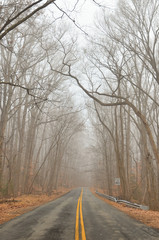 Fototapeta premium The foggy road into the autumn forest