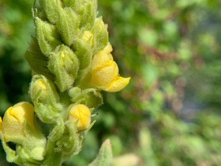 I tend to hike and camp a lot as of late, here are some nature shots I've taken from various camping trips and hikes over the last few months.