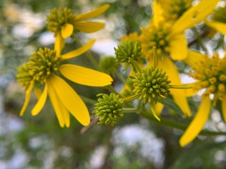 I tend to hike and camp a lot as of late, here are some nature shots I've taken from various camping trips and hikes over the last few months.