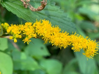 I tend to hike and camp a lot as of late, here are some nature shots I've taken from various camping trips and hikes over the last few months.