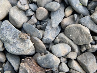 I tend to hike and camp a lot as of late, here are some nature shots I've taken from various camping trips and hikes over the last few months.