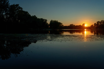 Beautiful summer autumn landscape, the sun sets in the forest, a view of the trees and grass pond, reflected in the water. Stunning bright sunset