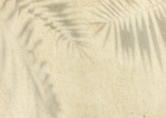 pastel yellow textured Japanese paper background with palm leaves overlay shadow