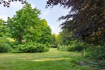 Selbstklebende Fototapete Garten Der Rasen schlängelt sich zwischen den verschiedenen Büschen mit Bäumen in einer Vielzahl von Blattschattierungen in diesem wunderschön angelegten Garten mit einer großen Vielfalt an Bäumen und blühenden Sträuchern