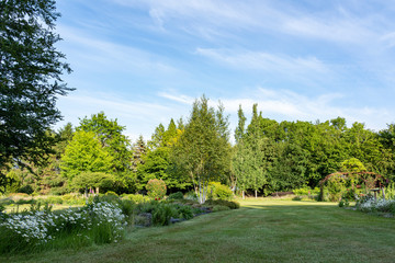 The low sun shines on a number of birch trees that demarcate a plant bed with blooming flowers in a beautifully landscaped garden with a great diversity of trees and flowering shrubs 