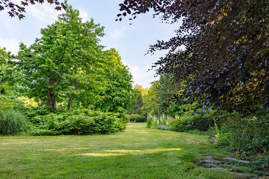 The lawn meanders between the various bushes with trees in a multitude of leaf shades in this beautifully landscaped garden with a great diversity of trees and flowering shrubs