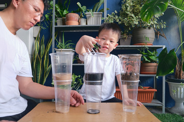 Parent sitting homeschooling with little kid, Father and son having fun making easy science soil experiment at home, Kid-friendly easy science experiments at home concept