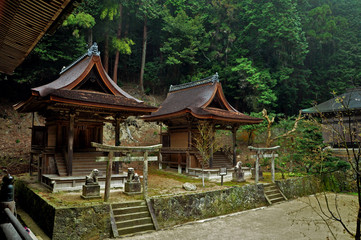 Fototapeta premium Small wooden buddhist temples hidden in woods with big green pines and trees on Mount Shosha, Himeji, Japan