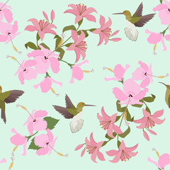 Seamless vector illustration with pink lilies, hibiscus and hummingbirds .