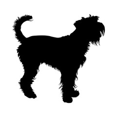 Giant Schnauzer Dog Silhouette Found In Map Of Europe
