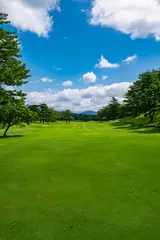 Poster Golf Course with beautiful green field. Golf course with a rich green turf beautiful scenery. © okimo