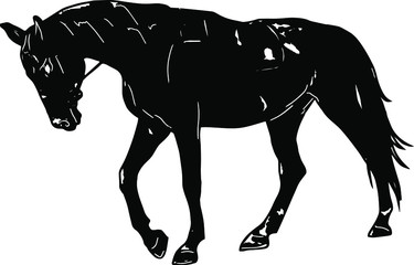 Horse illustration isolated on white background. Horse in-line for printing on clothes, logo, packaging, blank for designers