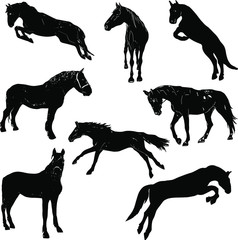 Vector set of horses, horses in harness. Vector blank for designers, coloring, for printing on clothes, packaging, logo, icon