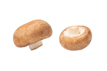 Tasty mushroom isolated on white background.