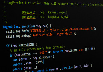 Software source code. Programming code on computer screen. Developer working on program codes ....