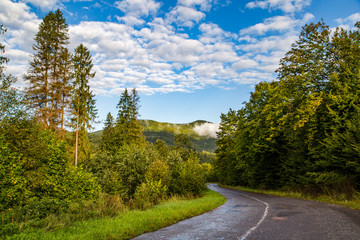 Fototapeta na wymiar Asphalt road near mountains and forests. beautiful panorama.