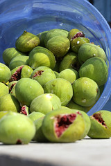 bucket with figs