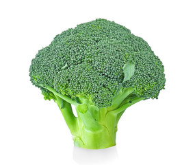 Broccoli isolated on White Background
