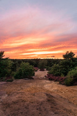 Sunset over the heath
