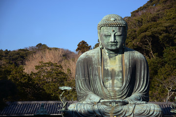The great statue of buddha in Kamakura