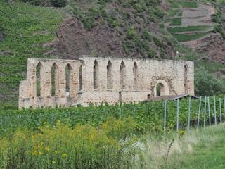 Klosterruine Stuben bei Bremm an der Mosel – ehemaliges Augustinerinnenstift „St.Nikolaus“