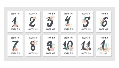 Baby milestone cards with flowers and numbers for newborn girl or boy. Baby shower print