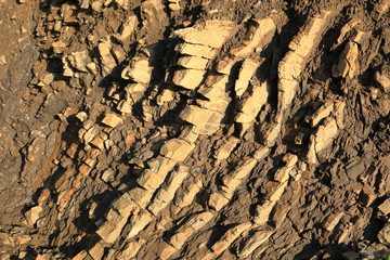 skały na zboczu góry w Bieszczadach © 777PiT