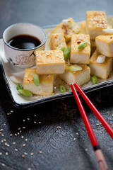 Chunks of roasted tofu cheese with green onion, sesame and soy sauce, selective focus, close-up