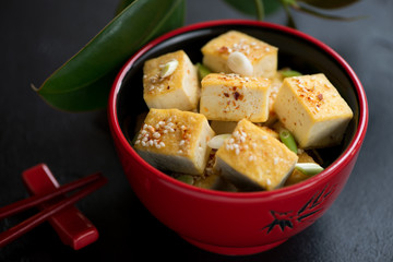 Red bowl with pan fried chunks of tofu cheese, green onion and sesame, studio shot, selective focus