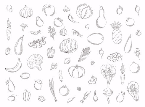 Collection of hand drawn fruits and