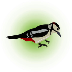 Woodpecker