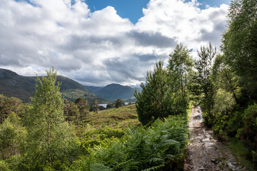 Glen Affric path